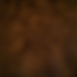 Meet your Posher, Devin